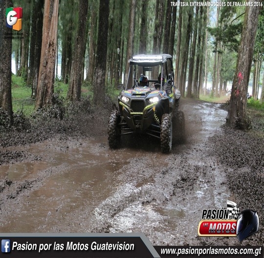 LA TRAVES&Iacute;A EXTREMA SE VIVI&Oacute; AL M&Aacute;XIMO EN LOS BOSQUES DE FRAIJANES