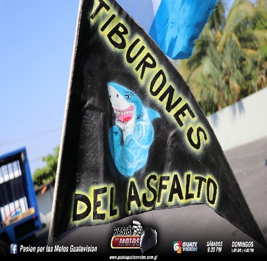 TIBURONES DEL ASFALTO RODARON EN EL PUERTO DE SAN JOS&Eacute;
